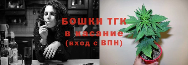 прущие грибы Новокубанск