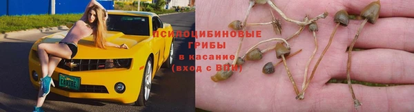 MDMA Нефтегорск