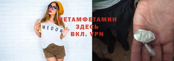прущие грибы Новокубанск