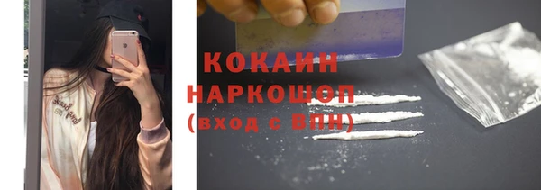 прущие грибы Новокубанск