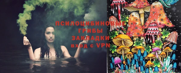 прущие грибы Новокубанск