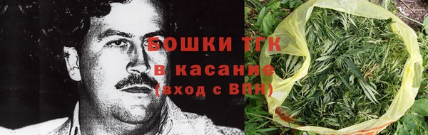 прущие грибы Новокубанск