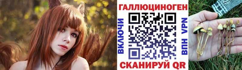 Псилоцибиновые грибы MAGIC MUSHROOMS  Купить где  Стрежевой 